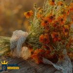 دانلود آهنگ داشتم میوفتادم تو نگام میکردی بچه حالم