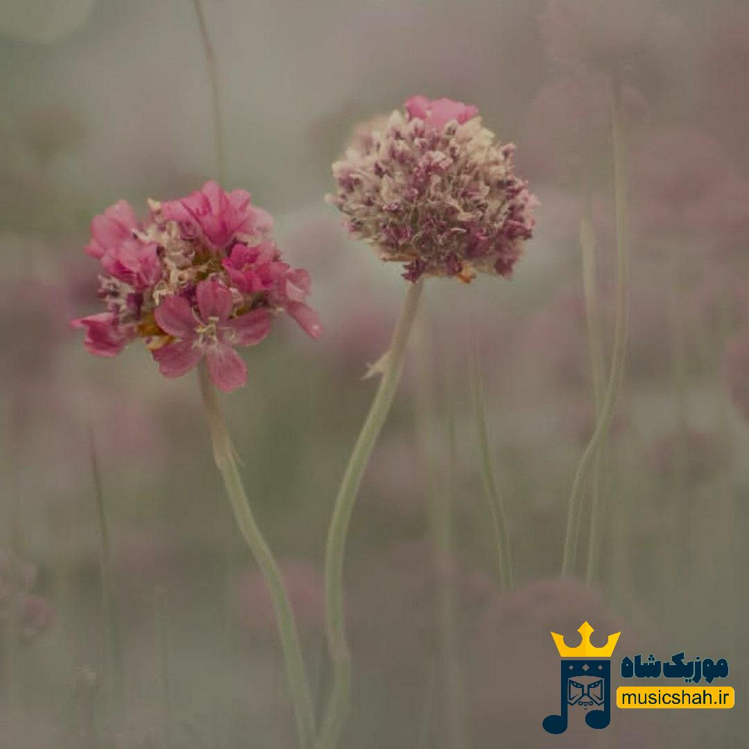 ما که صبحش صحبت کردیم دیگه نمیخوام ببینمت