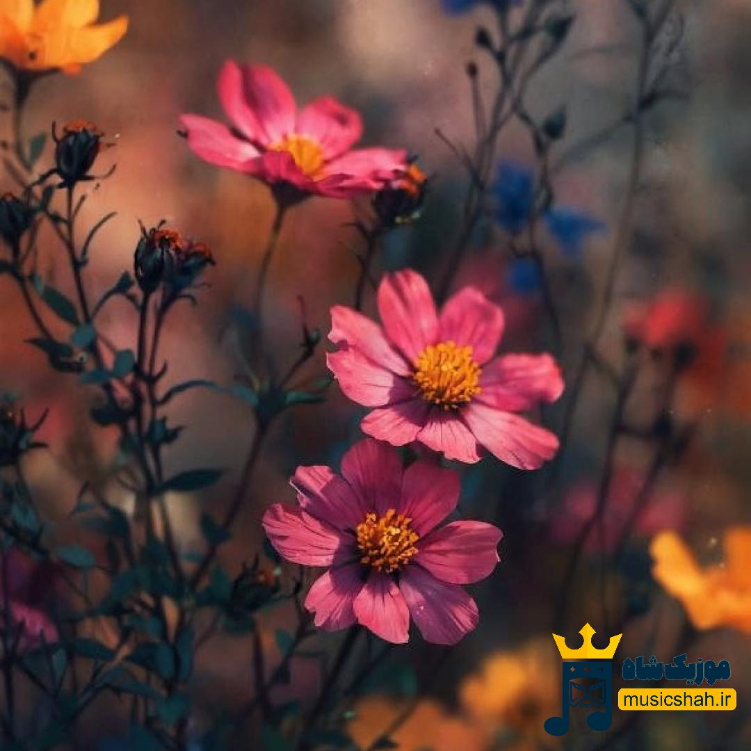منو ببخش اگه اعتیادم تویی ببخش اگه احتیاجم