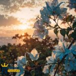 دانلود آهنگ دختر بگو اومد بجای من کی هرکاری کردم برات