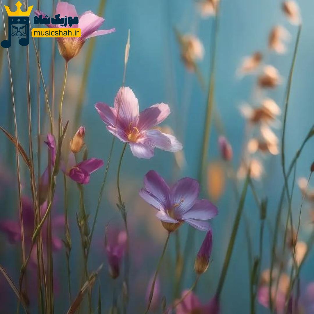 داینی داینی جونم قربون پنج تیر پرونوم (ترند اینستا)