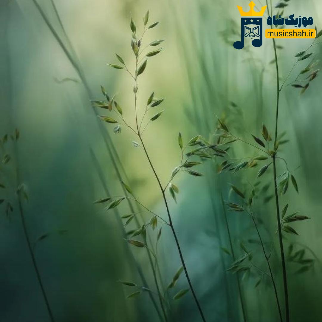 میدونستم منو آخر بگا میده آخه یزید با من چرا دیگه