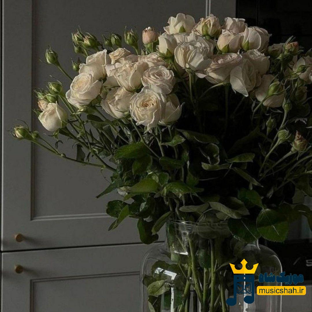  هر گوهی میخوری بخور هرکاری که دلت میخواد