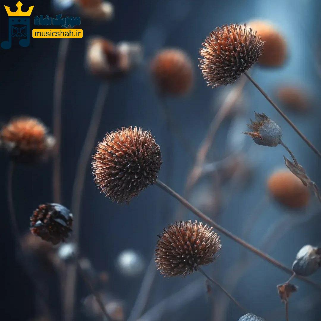 سیتیزن دل پاکتم من تو نعره ام بکشی