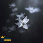 دانلود ریمیکس دو سه شبه که چشمام به دره میدونی سر چی میکنم (میکس اینستا) دانلود ریمیکس دو سه شبه که چشمام به دره میدونی سر چی میکنم (میکس اینستا)