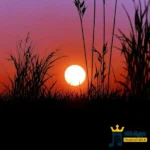 یا رب العالمین ای زیبایی ره ببین (ترند اینستا)