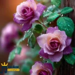 دانلود آهنگ جدید تو حتی یه ذره شبیه حرفات نبودی آرومم ولی