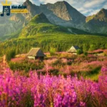 قلبمو پر پر کردی میگن خیلی دوسش داری (میکس اینستا)
