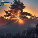 خداحافظ غریبی تموم بی اسیری (میکس رپی)