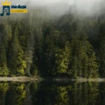 دانلود آهنگ جدید پول ندارم فدا سرم گرونیه (هوش مصنوعی) دانلود آهنگ جدید پول ندارم فدا سرم گرونیه (هوش مصنوعی)