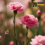 دانلود آهنگ جدید میزنم بپاچه خون از لب و لوچه فکت