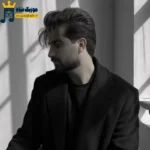 دانلود آهنگ محلی شرور از محسن نصری