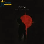 دانلود آهنگ جدید بی دلیل از سینا پارسیان