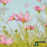 دانلود ریمیکس جدید پادگان موشک میخورد اشتباهی پست میدادم (میکس اینستا)