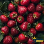 دانلود آهنگ جدید یه شبم مثل من از دست این دنیا ببری (هوش مصنوعی) دانلود آهنگ جدید یه شبم مثل من از دست این دنیا ببری (هوش مصنوعی)