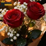 دانلود آهنگ جدید پاییز شده رفته عمرم چجور دوست داشتنیه