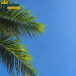 دانلود ریمیکس جدید لب پرتگاهم همه چی عمیقه تیر تو بهم میخوره
