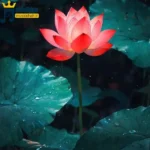 دانلود ریمیکس جدید ای دل گله کم کن که پرستار نداری (میکس اینستا)