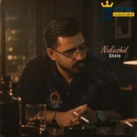 دانلود آهنگ جدید نکشید از شاین