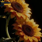دانلود آهنگ جدید قرار بود همه عشق بازیات سهم دلم شه (هوش مصنوعی)