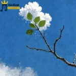 دانلود ریمیکس جدید ولی من الان هایده فنم از بس که غم (میکس اینستا) دانلود ریمیکس جدید ولی من الان هایده فنم از بس که غم (میکس اینستا)