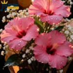 دانلود ریمیکس جدید نکنه نیای و این خونه نشه آباد (میکس اینستا) دانلود ریمیکس جدید نکنه نیای و این خونه نشه آباد (میکس اینستا)