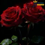 دانلود آهنگ جدید منو پیچوندی شدی طلبکار برو بابا جمع کن (هوش مصنوعی)