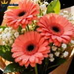 دانلود آهنگ جدید تو فکر منی قبله خوابت من یادمه تو اگه رفته یادت