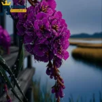 دانلود ریمیکس جدید چی میگی ها ترپ گوش ندادی چی میگی ها (میکس اینستا)