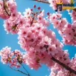 دانلود ریمیکس جدید میخوام بازم مزه مزه کنم طعم لبتو (میکس اینستا)