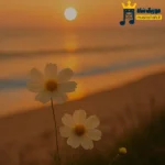 دانلود ریمیکس جدید میدونی خودمونم بفروشیم ماها باز داریم قسط (میکس اینستا)