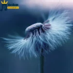 دانلود آهنگ جدید من یه تیکه از بغض خدا رو زمینم زیاد میکنم